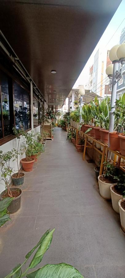 Raintr33 Hyderabad