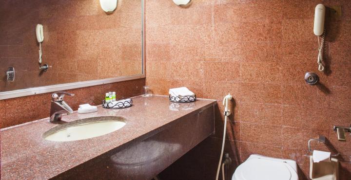 Ohris Baseraa Hotel 3*