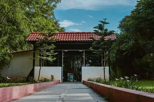 Farm - Shamirpet, Hyderabad