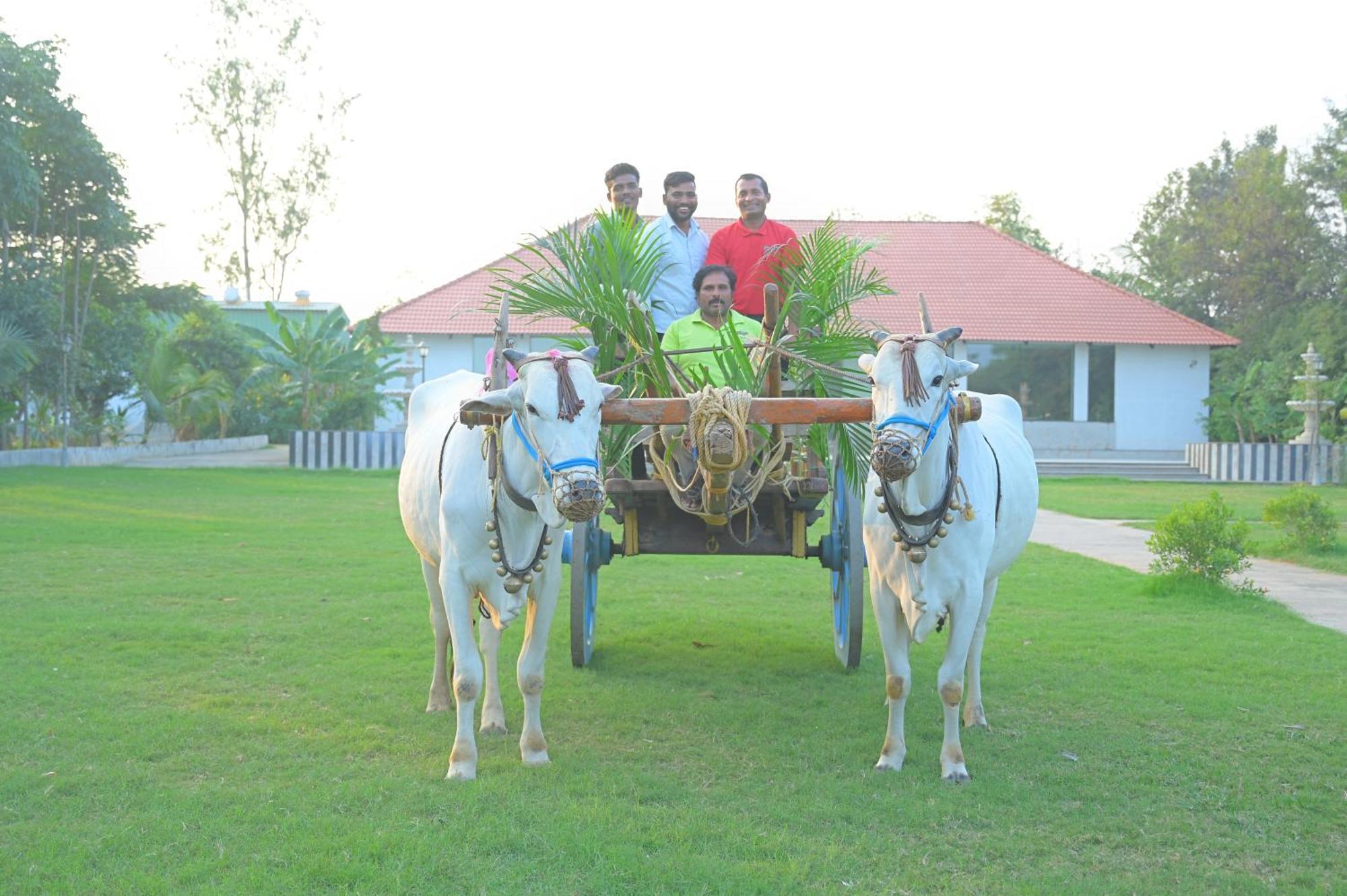 Farm - Shamirpet, *
