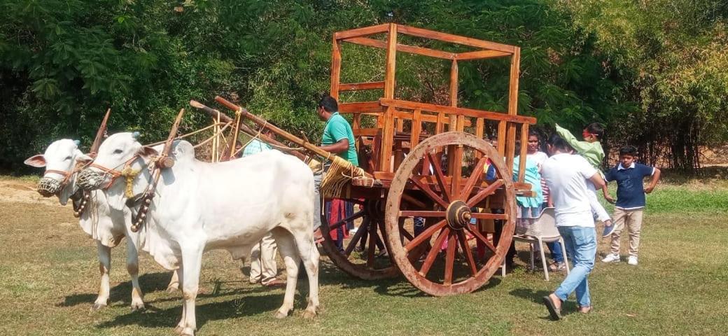 Farm - Shamirpet, Resort