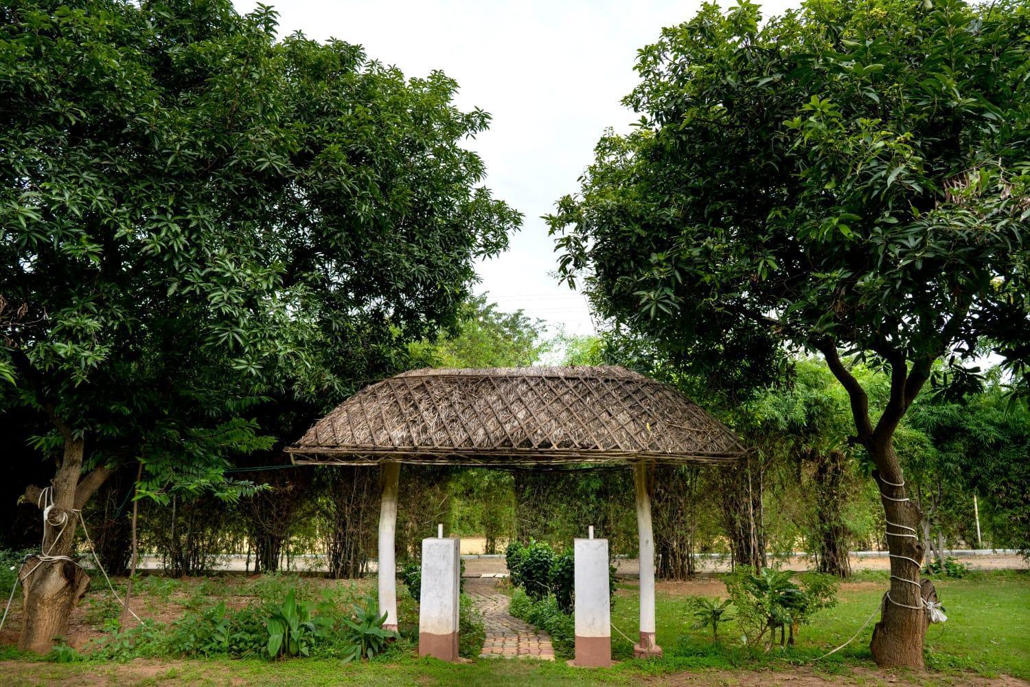Farm - Shamirpet, Hyderabad