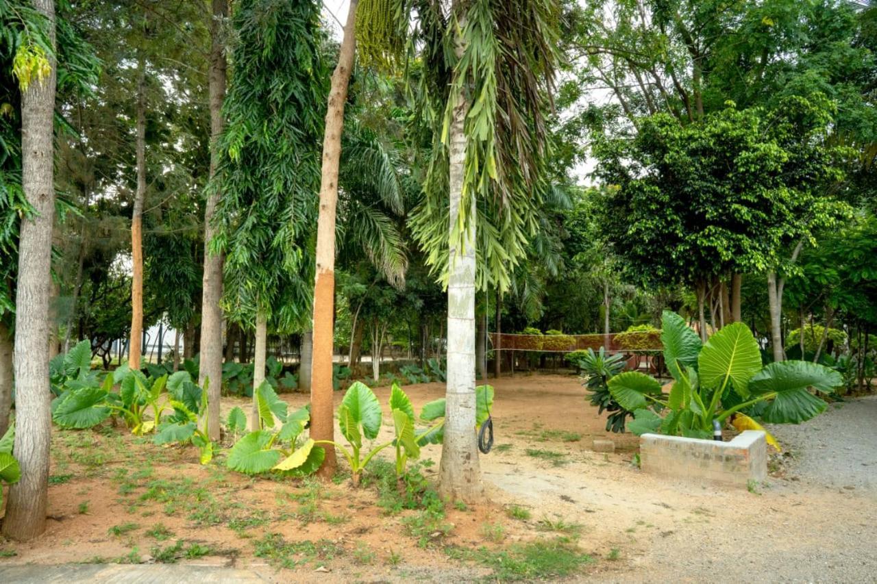 Resort Farm - Shamirpet, Hyderabad