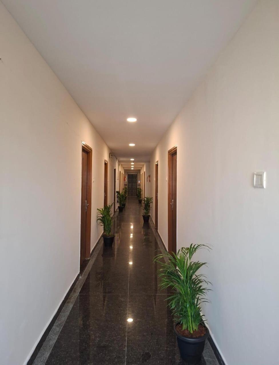 Hotel Dream 3*