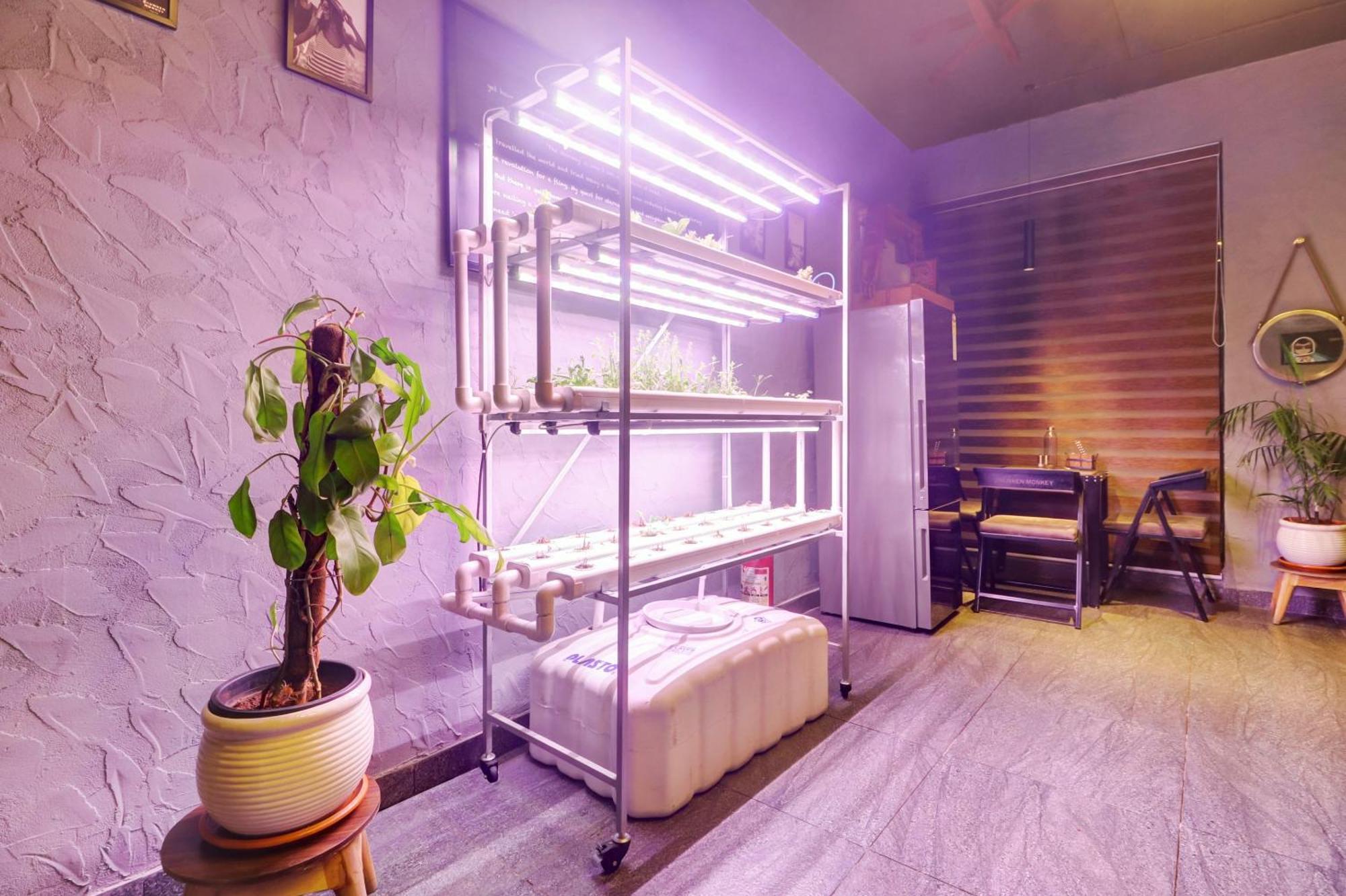 Hotel Townhouse Oak De Alphabet Bolarum Hyderabad