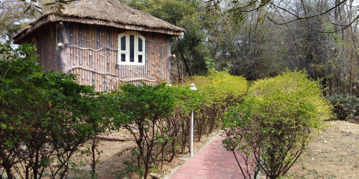 Resort Ananya Eco &