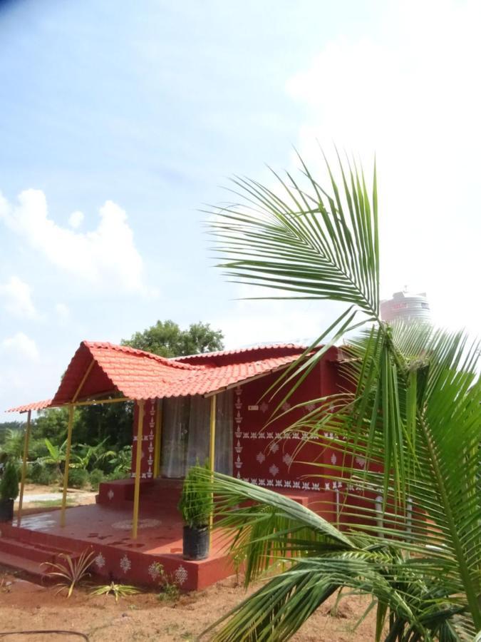 Holiday home Mangohut Pool *