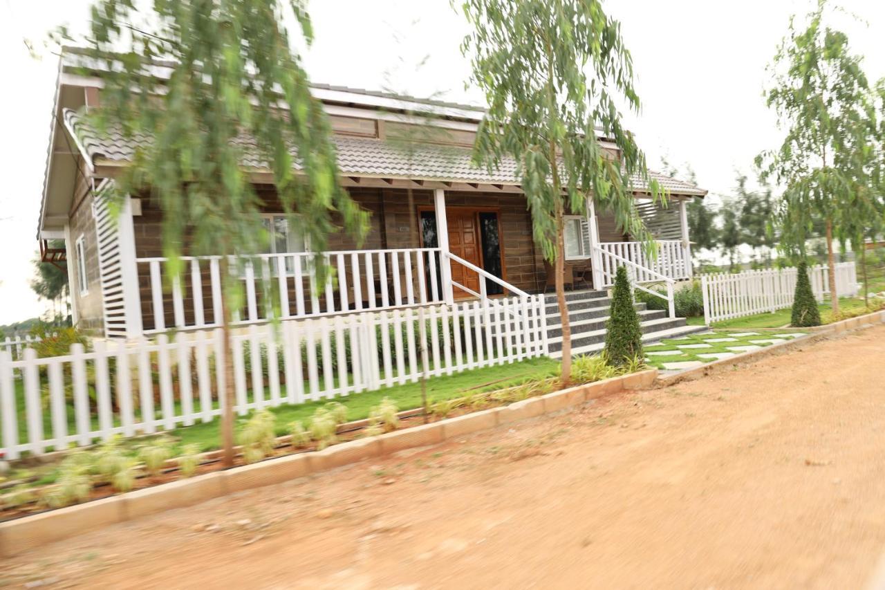 The Ranch *