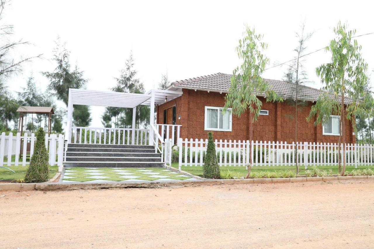 The Ranch