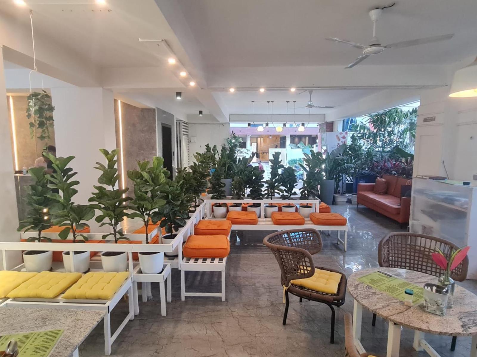 Homestay The Embassy