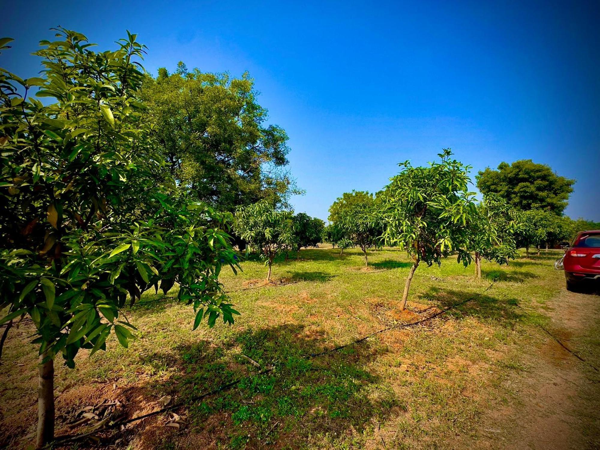 Mangohut Pool Holiday home