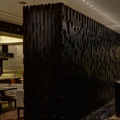Park Hyatt And Residences, Hyderabad